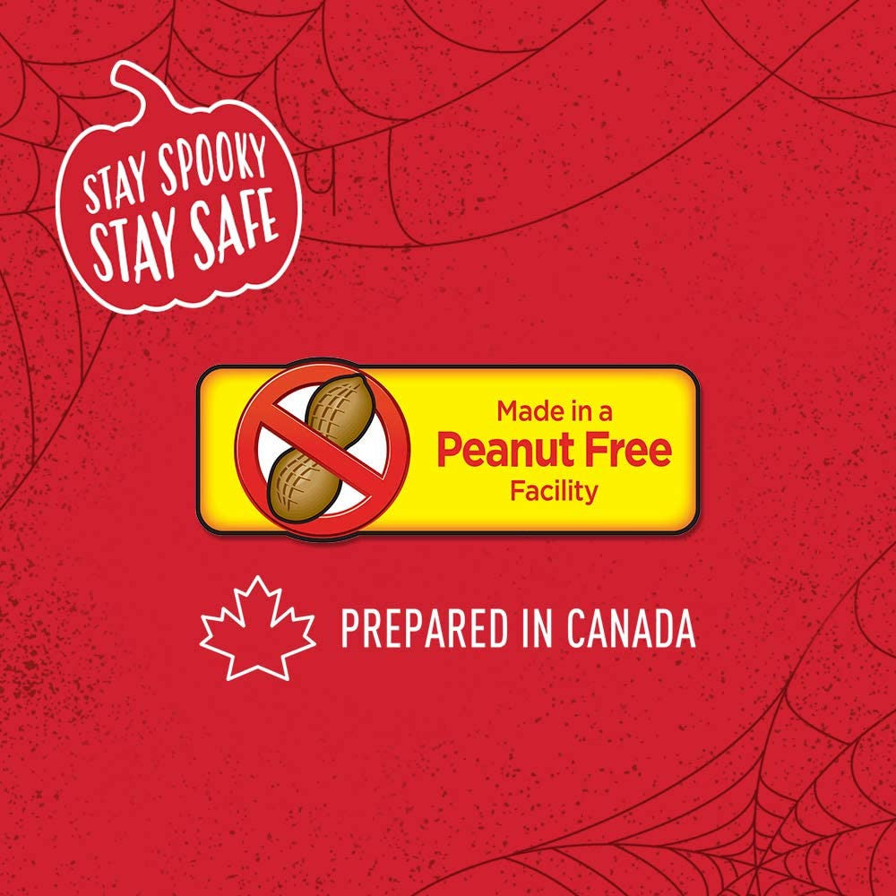 Nestle Mini Assorted Chocolates, Coffee Crisp, Kit Kat, Smarties, Aero, 25ct, Halloween Box, 248g/8.7 oz. {Imported from Canada}